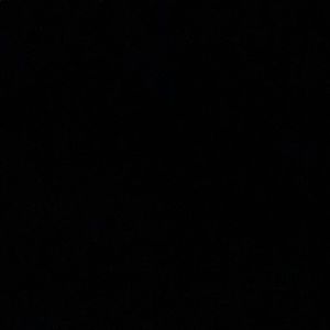 Meet your Posher, Ella